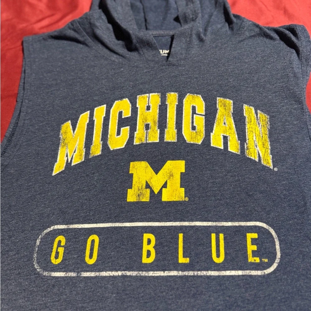 Gray Michigan Sleeveless Hoodie - Picture 2 of 3